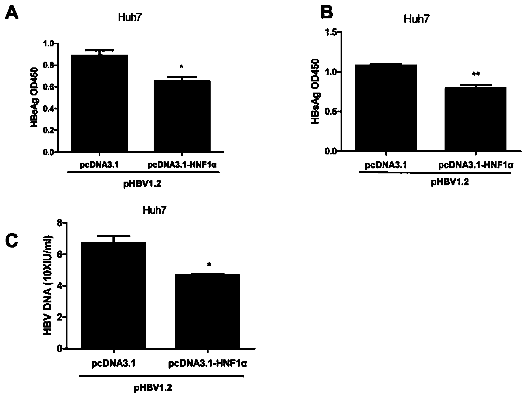 Novel anti-HBV endogenous protein HNF1alpha and application thereof