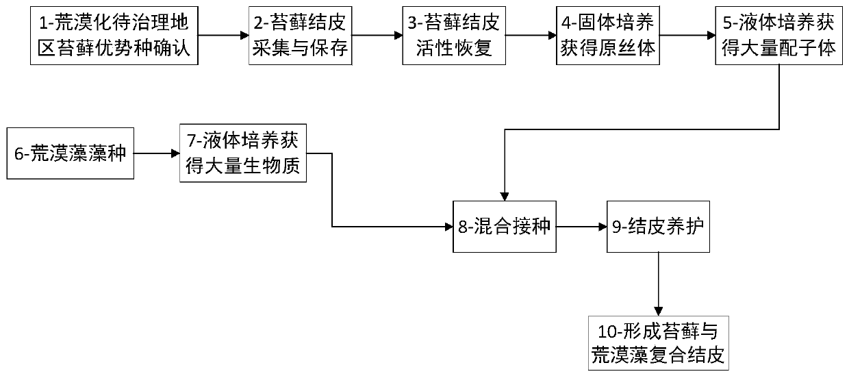 A kind of cultivation method of compound crust of moss and desert algae