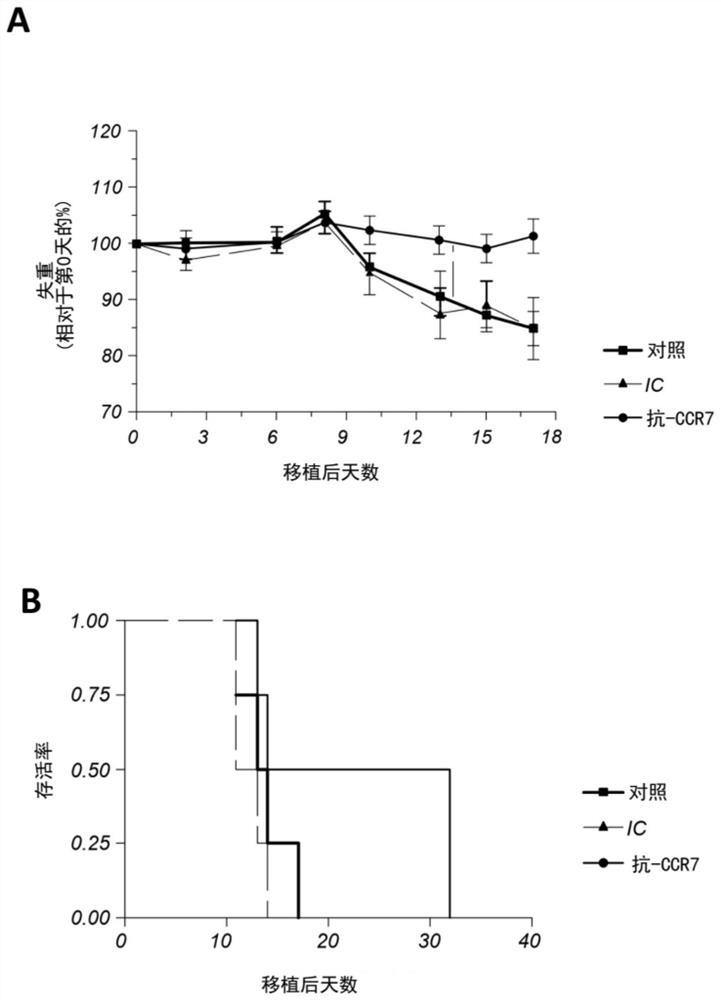 Use of Anti-ccr7 mab for the prevention or treatment of graft-versus-host disease (GVHD)