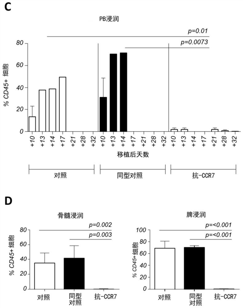 Use of Anti-ccr7 mab for the prevention or treatment of graft-versus-host disease (GVHD)