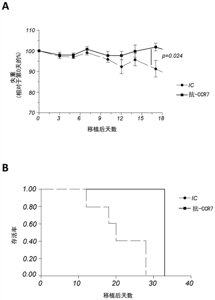 Use of Anti-ccr7 mab for the prevention or treatment of graft-versus-host disease (GVHD)