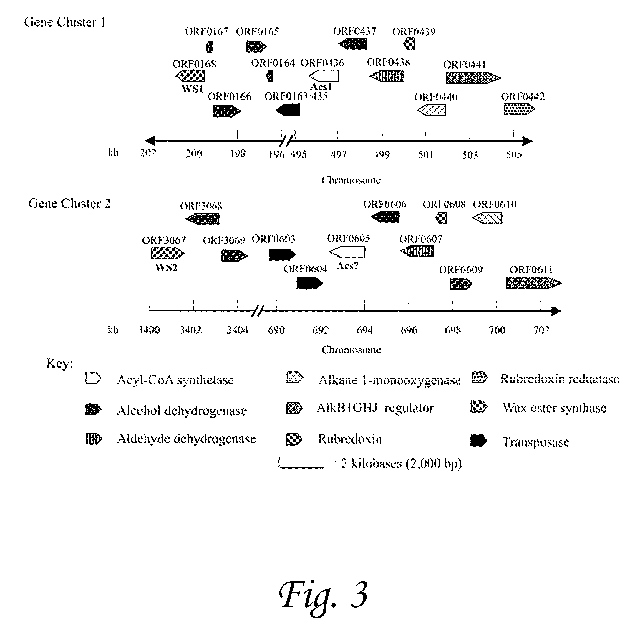 Isoprenoid wax ester synthases, isoprenoid acyl CoA-synthetases, and uses thereof