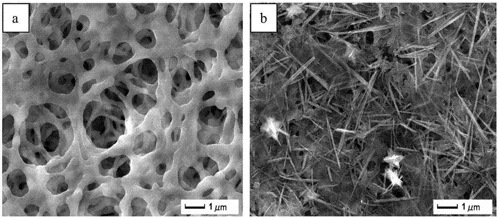 Hydrophilic-underwater super-oleophobic graphene oxide-base filter membrane, preparation method and application