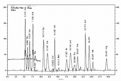 Processing technology of half-fermentation wild jujube leaf tea