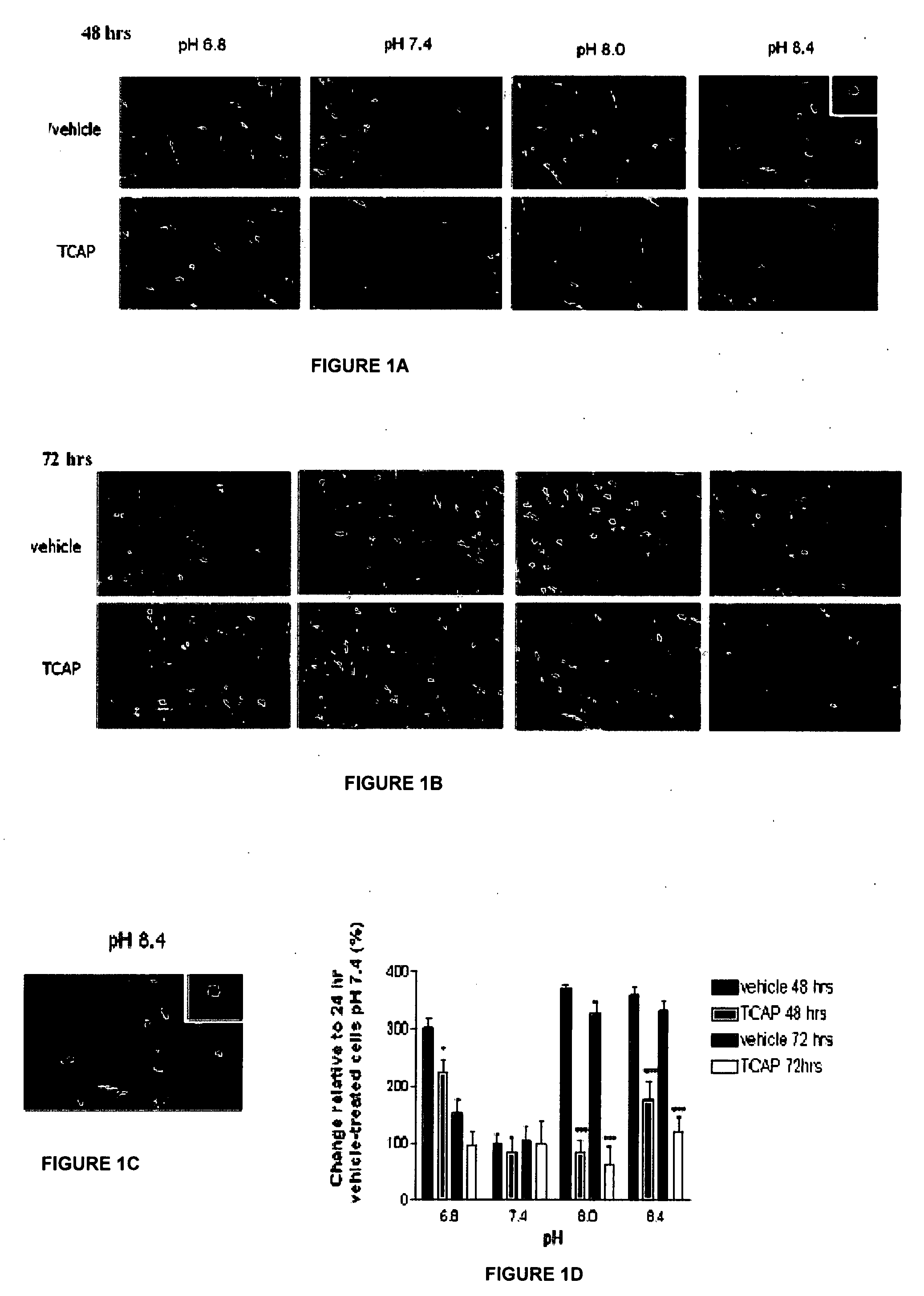 Method for inhibiting neuronal cell death