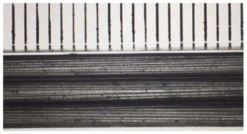 Preparation method of hollow fiber solid oxide fuel cell with petal-shaped cross section