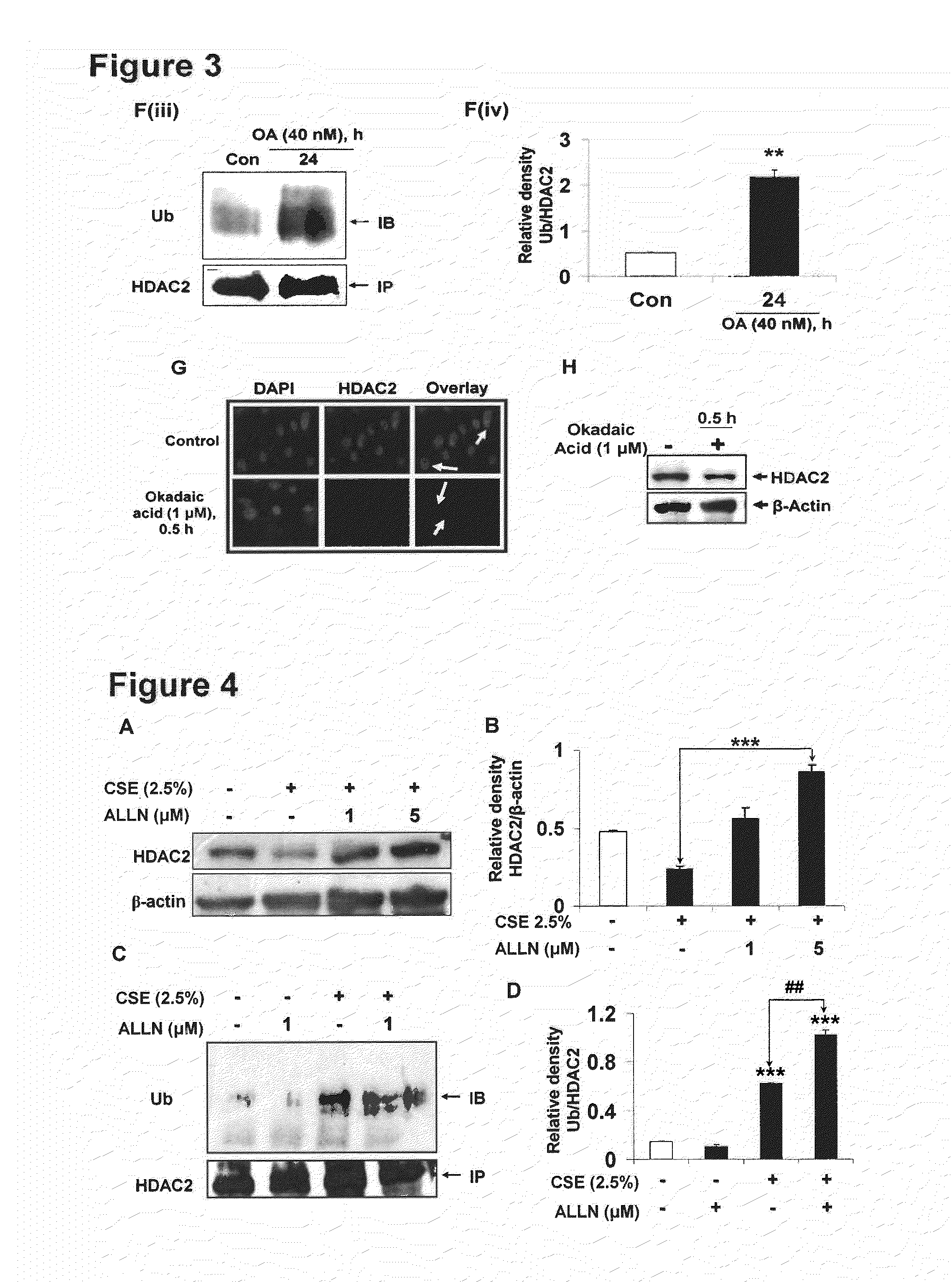 Targeting of Histone Deacetylase 2, Protein Kinase CK2, and Nuclear Factor NRF2 For Treatment of Inflammatory Diseases