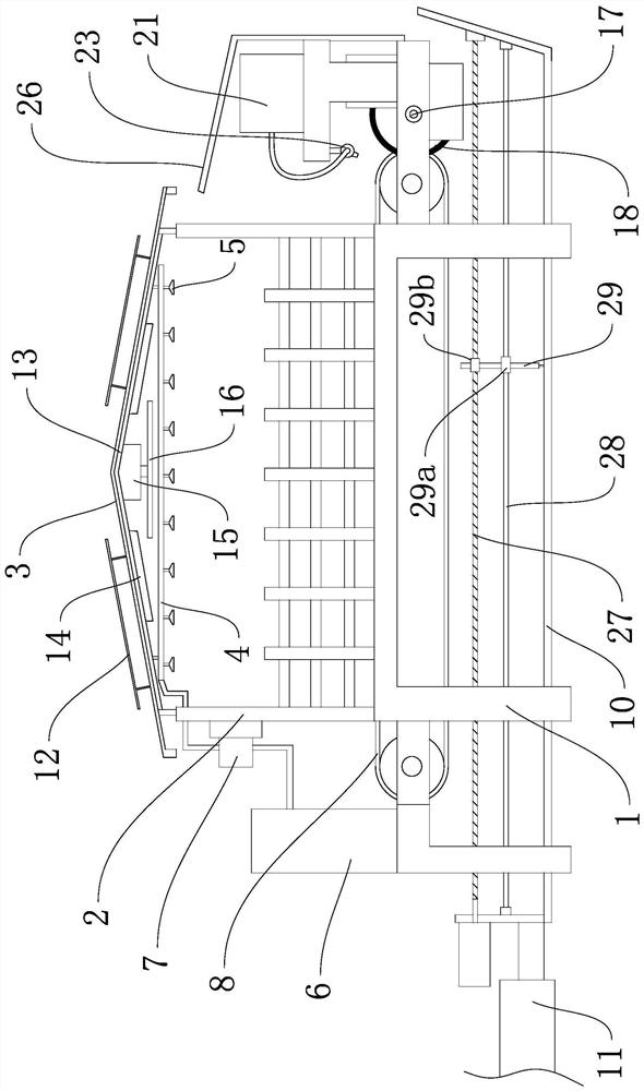 A pig shed with automatic feeding function