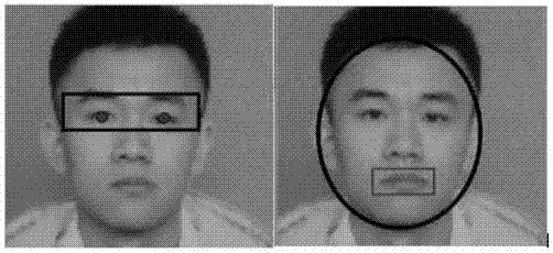 Traditional Chinese medicine face diagnosing system and face diagnosing method based on face region segmentation