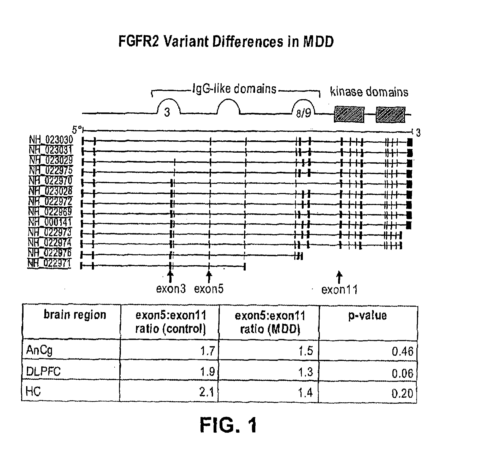 Fgf2-related methods for diagnosing and treating depression