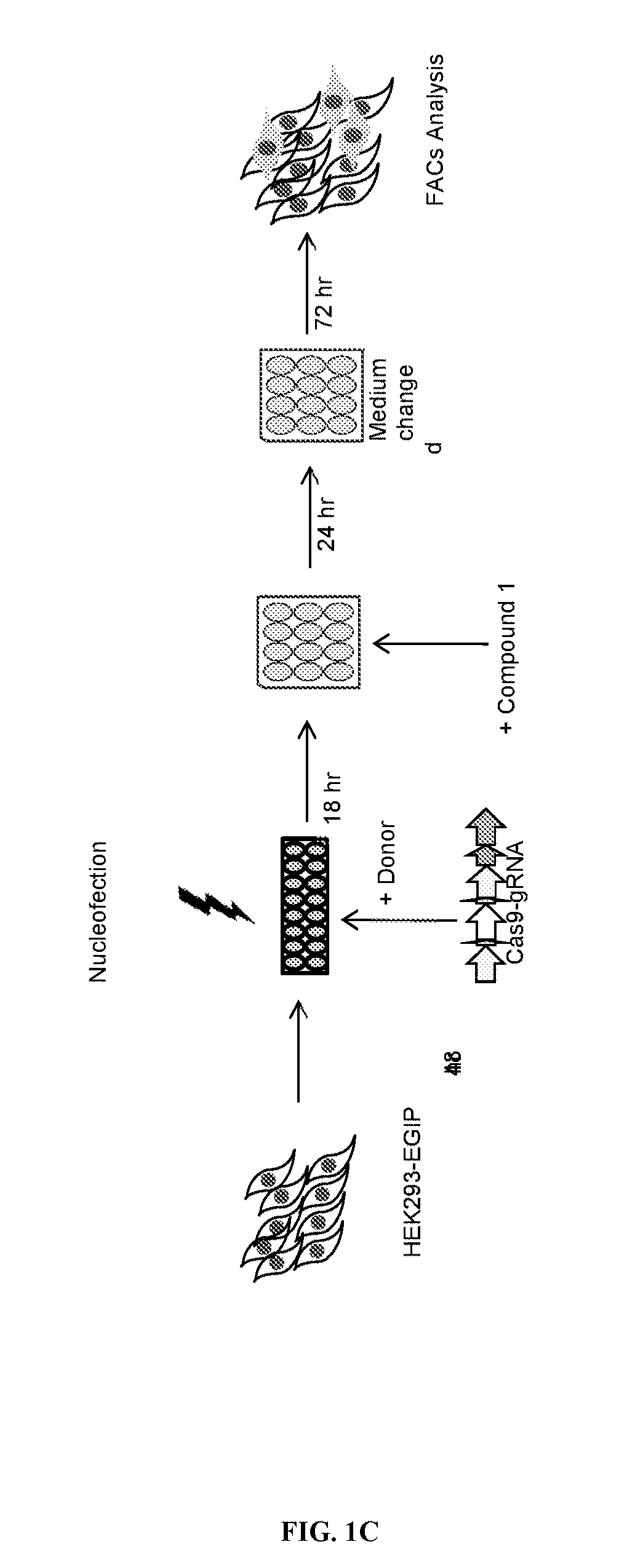 Methods, compositions and kits for increasing genome editing efficiency