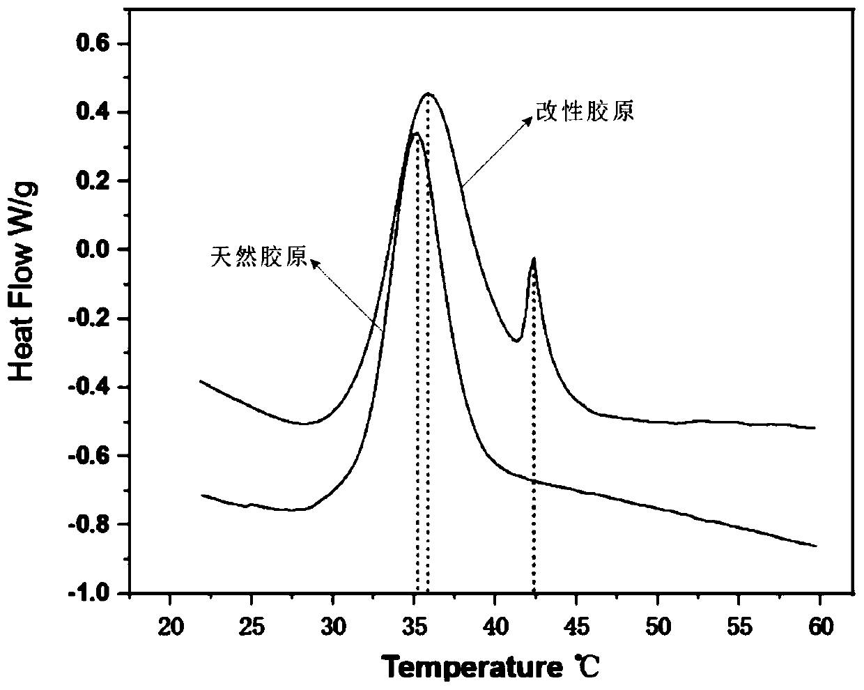 Collagen hydrophobic modifier, preparation method thereof and method for modifying collagen