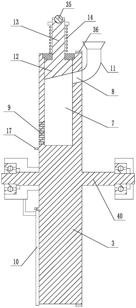 Torreya oil pressing device