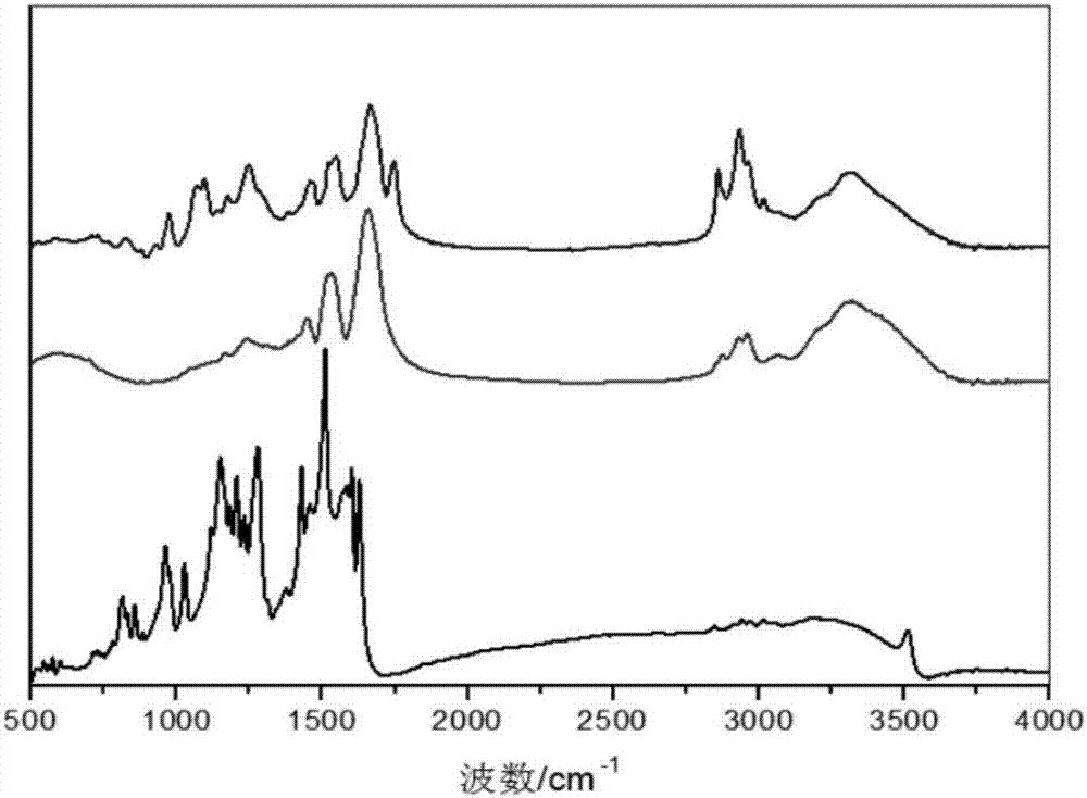 Zein-lecithin-curcumin composite colloidal particle and preparation thereof