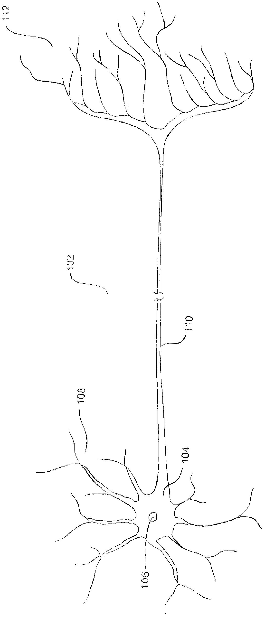 Neuromorphic circuit