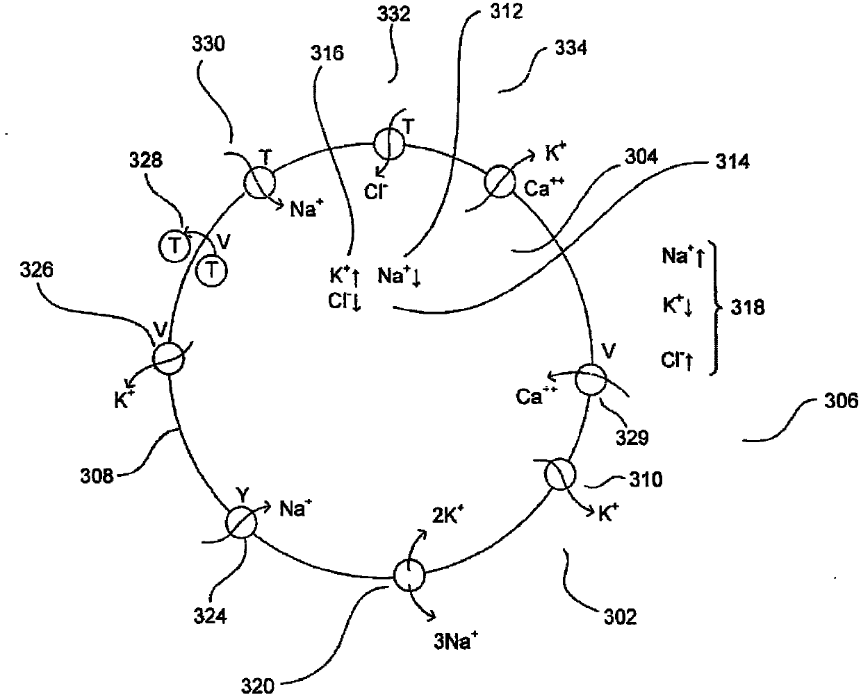 Neuromorphic circuit