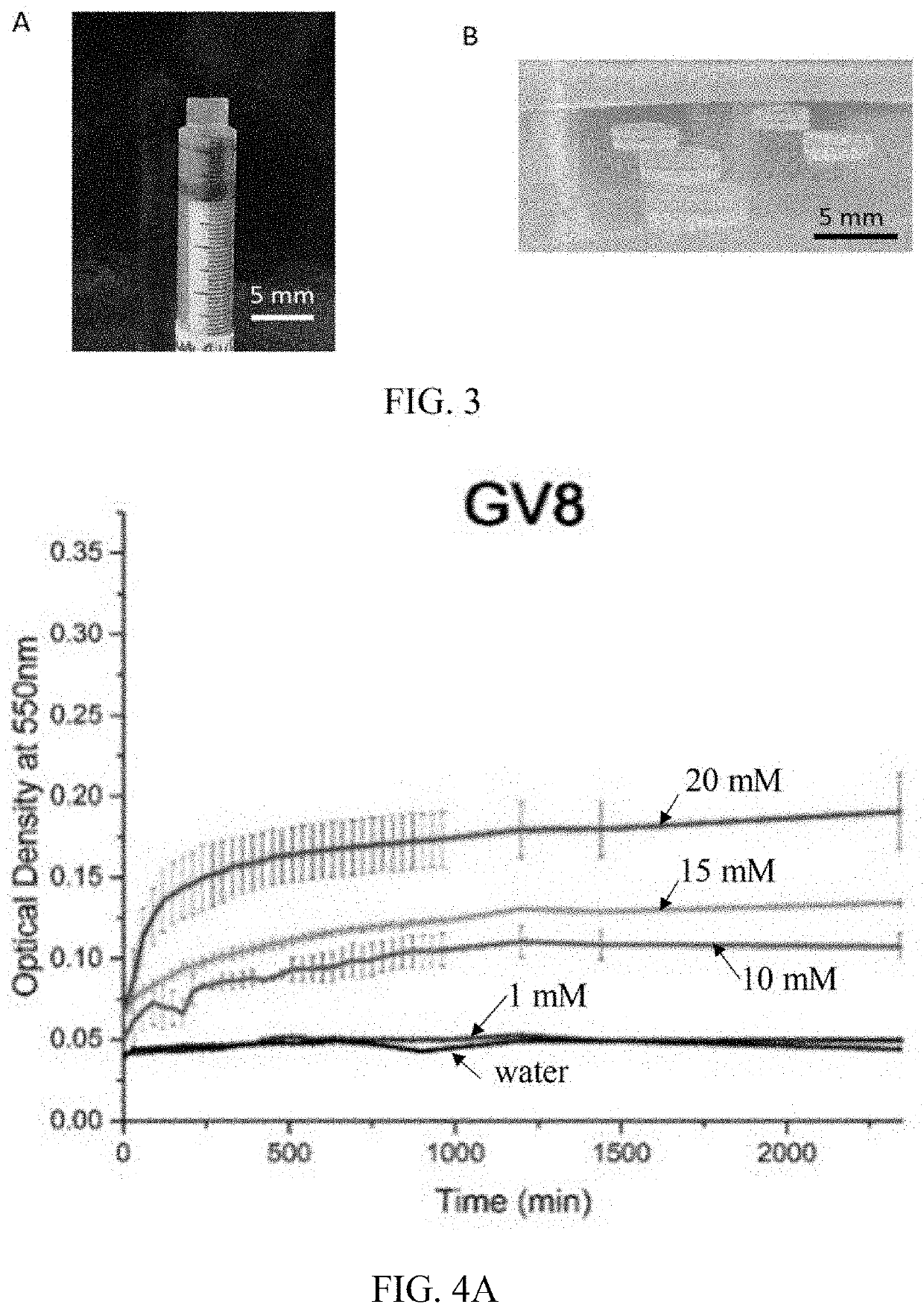 Hydrogel-forming peptides, and methods of use thereof