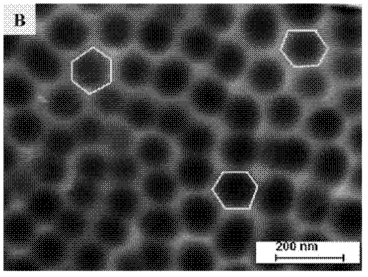 Method for preparing titanium dioxide nanotube array