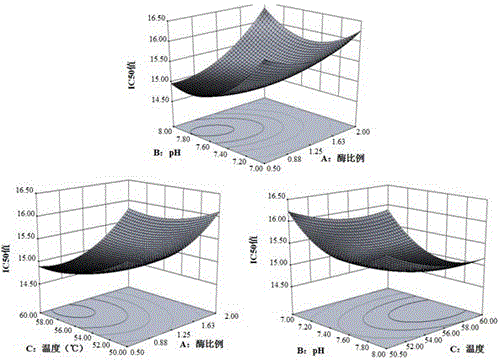 Preparation method of kelp micromolecular ACE inhibitory peptides with Tyr (tyrosine) at C tail end