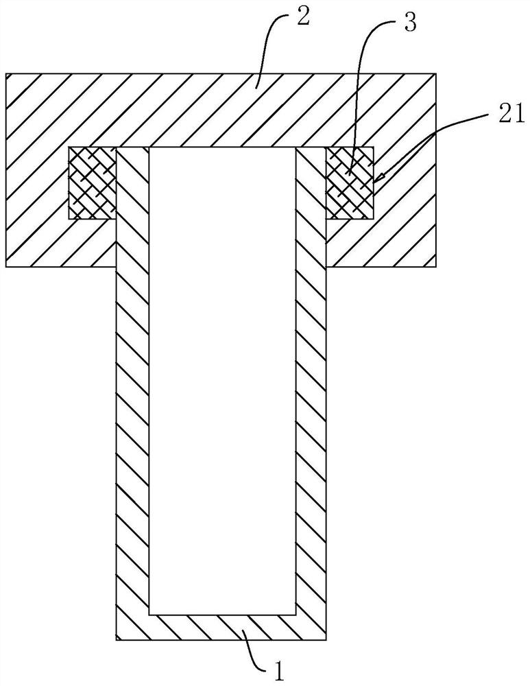 Novel sealing structure for gallium arsenide crystal growth