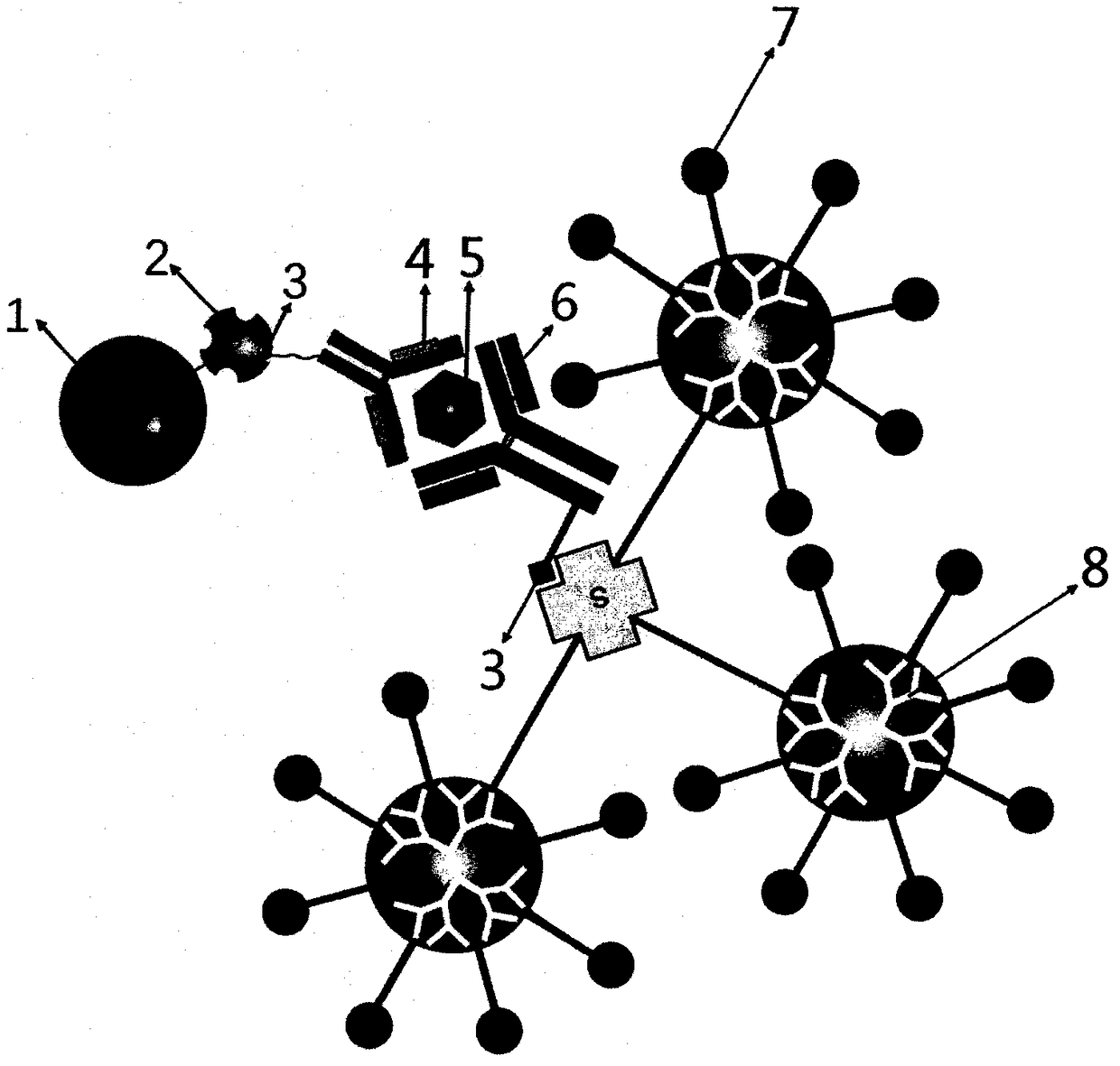 Preparation and application of chemiluminescent immunoprobe based on dendrimer double-amplification labeling