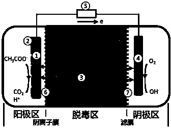 Method for repairing heavy metal polluted soil and special equipment thereof