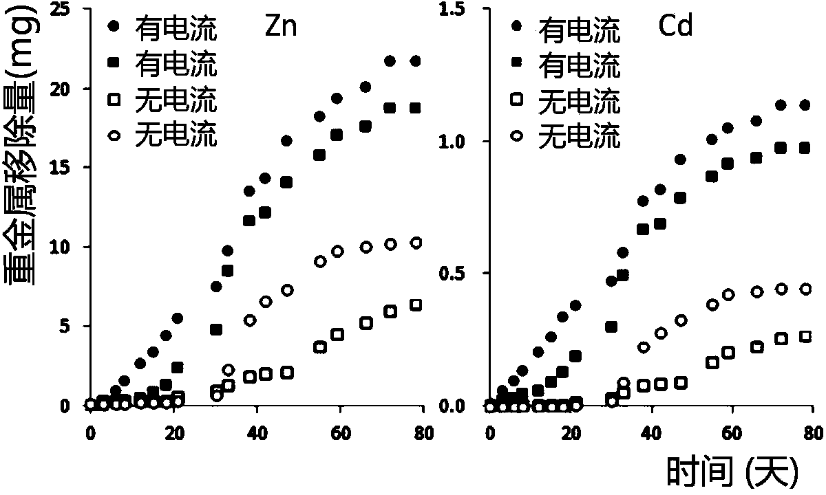 Method for repairing heavy metal polluted soil and special equipment thereof