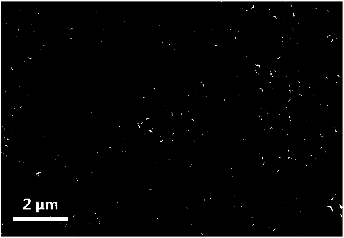 A zinc oxide nanorod/black silicon heterojunction nanophotodetector and its preparation method