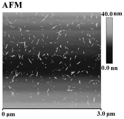 A kind of high sulfate group graft type cellulose nanocrystal and its preparation method and application