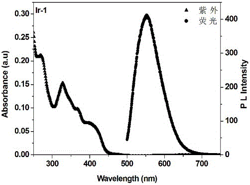 Synthesis of phosphorescent iridium complex and application of phosphorescent iridium complex for fluorescence labeling of schistosome cercaria