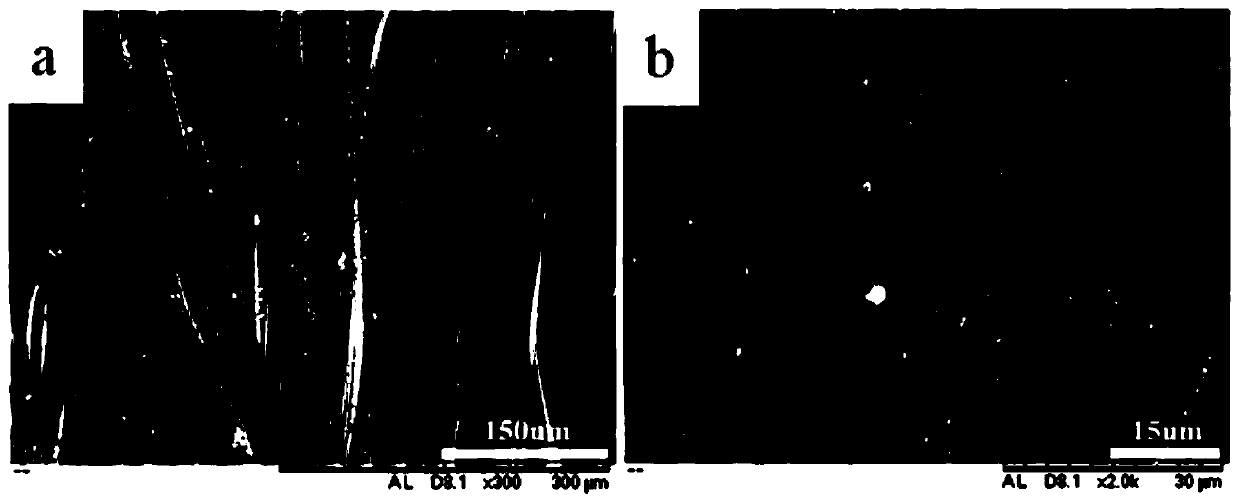 Antibacterial positive ion polyester blended yarn and preparation process thereof