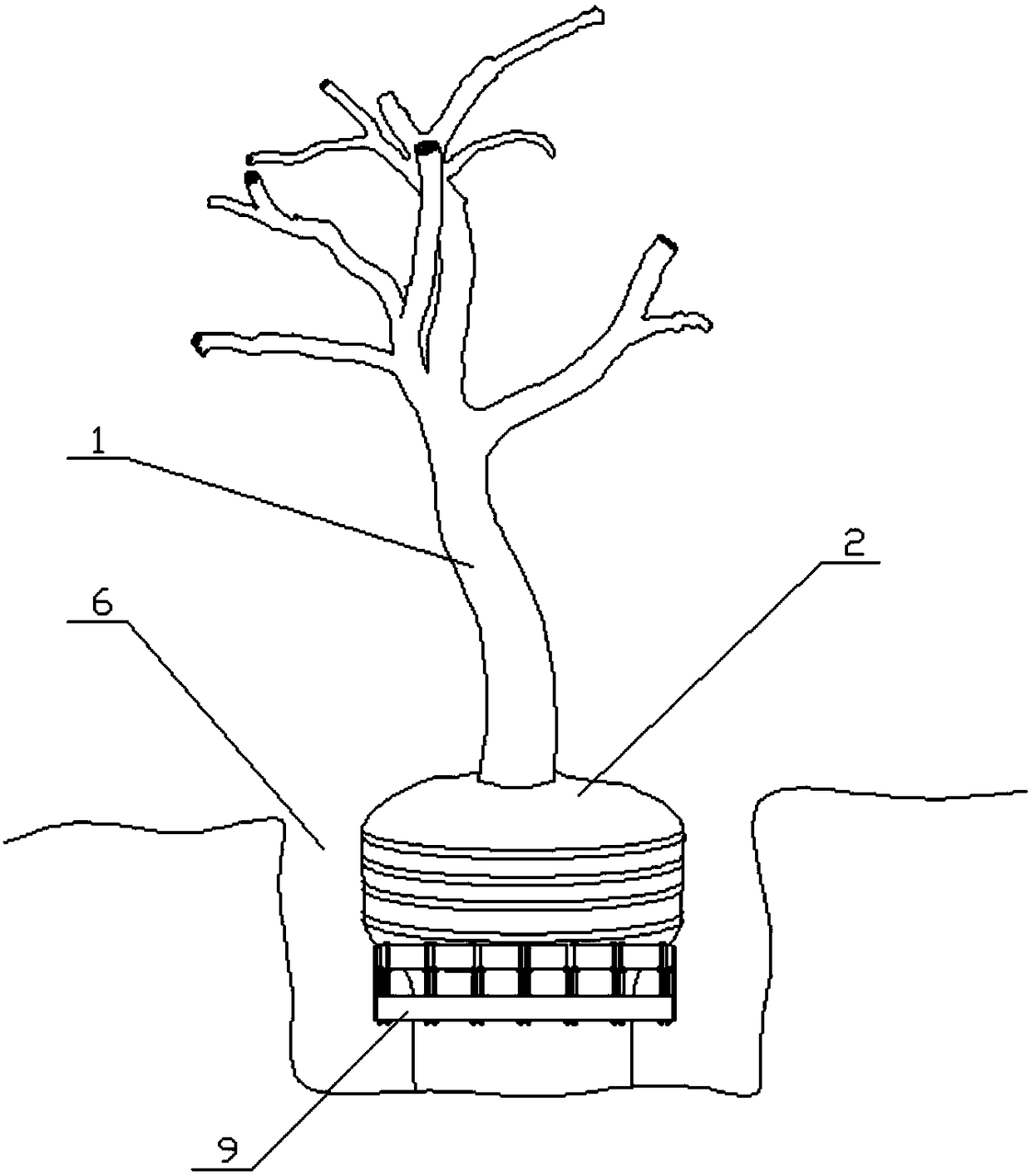 Method for movement and rejuvenation of old trees