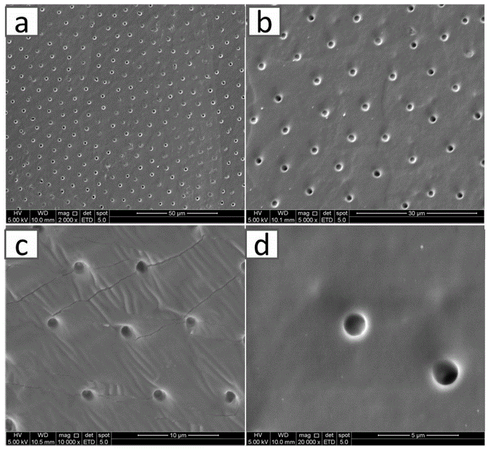 A biomimetic textured material with anti-algae adhesion performance and preparation method thereof