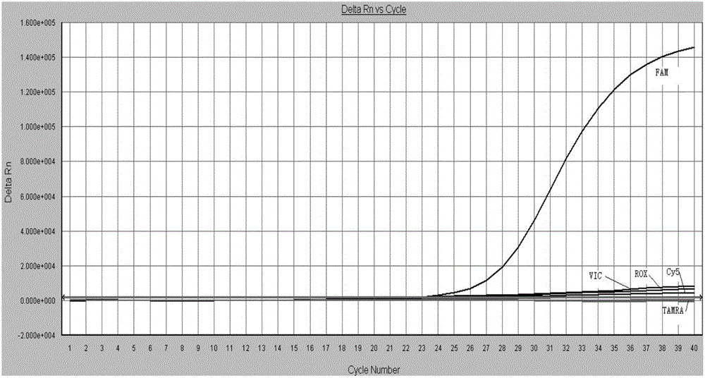 A multi-channel fluorescent PCR detection kit for delayed deafness gene