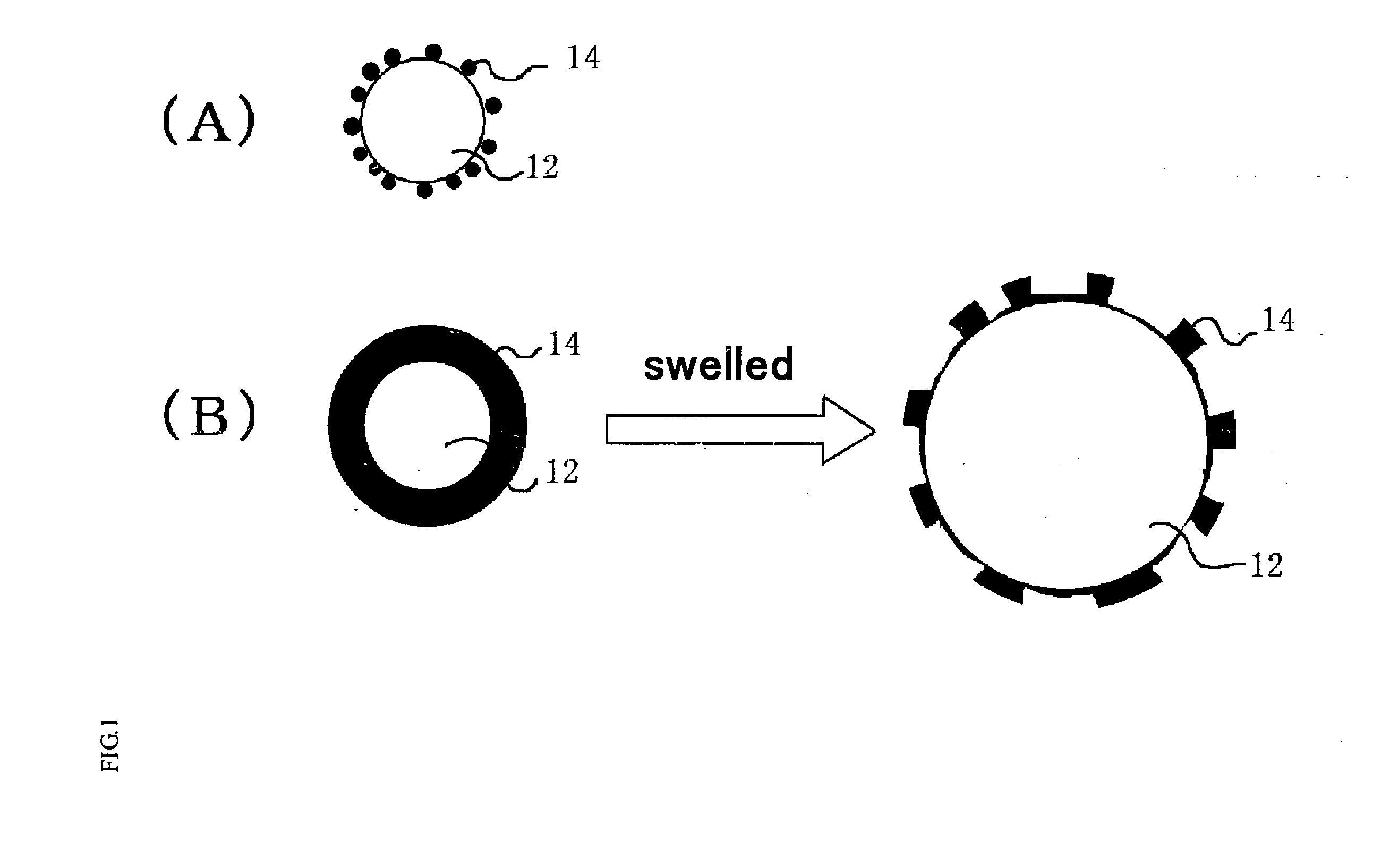 Oily skin preparation for external use