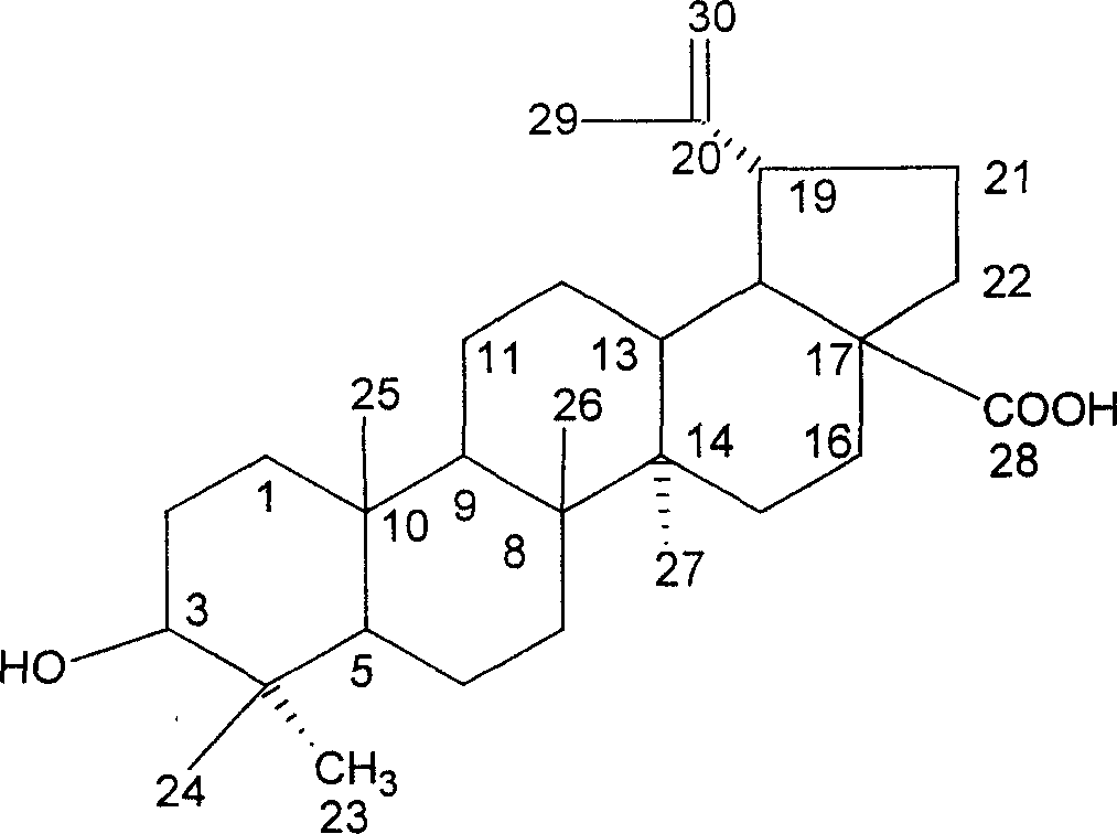 Iodine (I)-23-hydroxyl betulinic acid, rpeparation method and application thereof