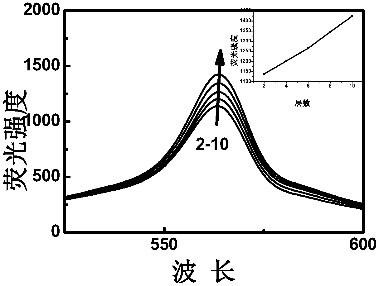 A kind of melamine concentration fluorescence sensor and preparation method thereof