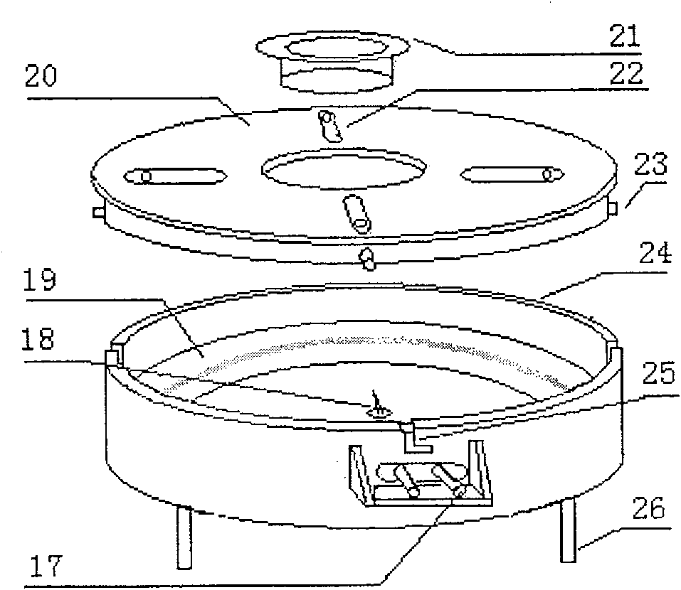 Film preparation device and observation method for film growth