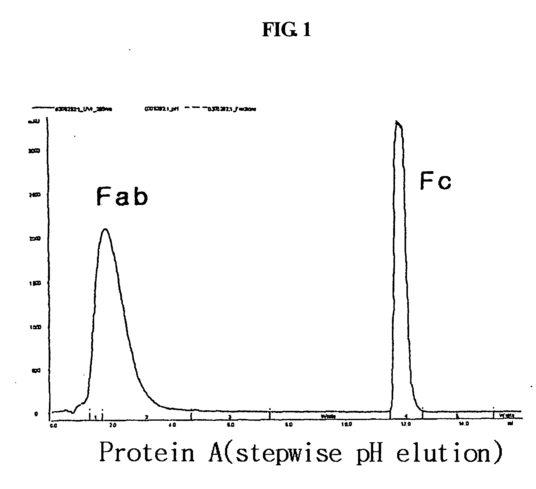 Protein complex using an immunoglobulin fragment and method for the preparation thereof