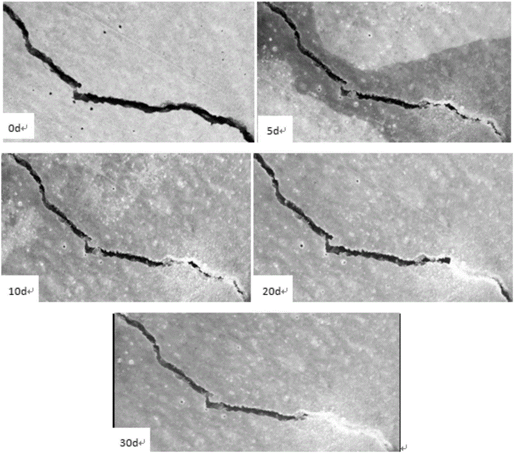 Surface pre-coating method for crack self-repairing of cement-based material