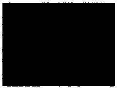 Early diagnosis marker for lung cancer and diagnosis kit and application