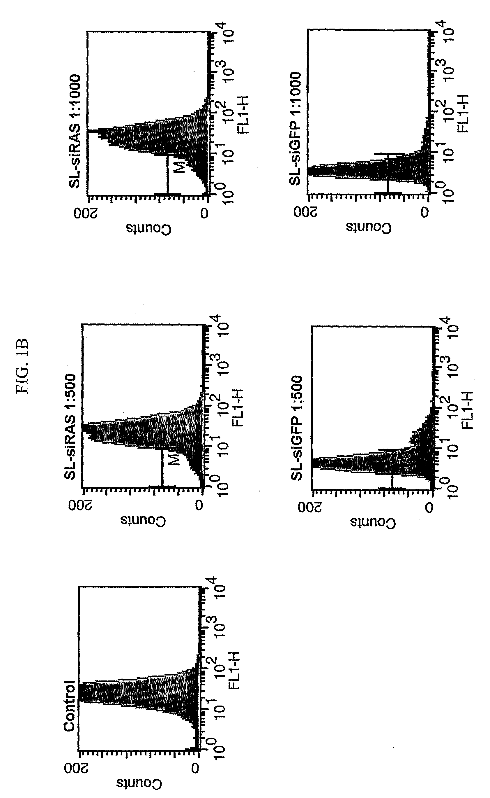 Compositions for Bacterial Mediated Gene Silencing and Methods of Using the Same