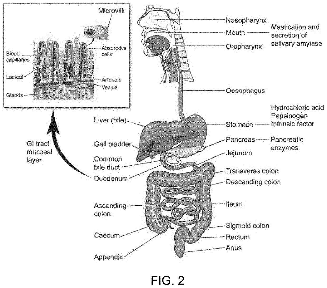 Diabetes Treatment Methods and Devices