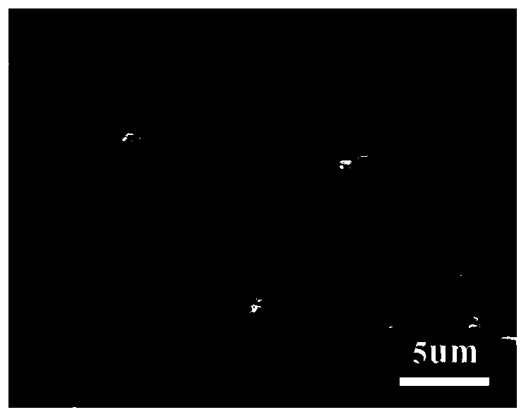 A preparation method of carbon tube and carbon nanofiber composite airgel based on cobalt sulfide growth