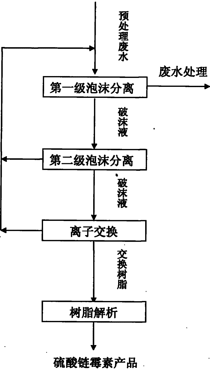 Process for recovering streptomycin sulphate from waste water by coupling foam separation and ion exchange