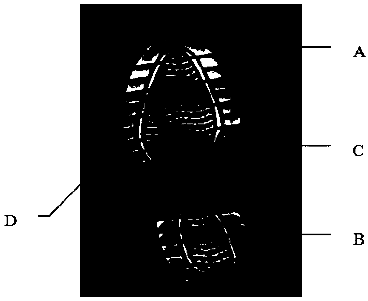 A shoe sample and footprint key point detection method based on depth learning