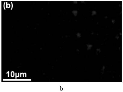 A Gradient Cemented Carbide Material of Gradient Hard Alloy with Surface Hardness and Internal Toughness