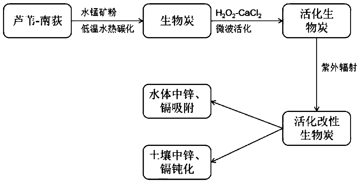 Preparation method and application of multi-position activation and modified reed-Nandi biochar