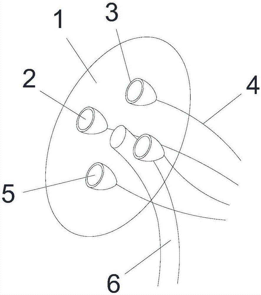 Tilted multi-camera robot face recognizer