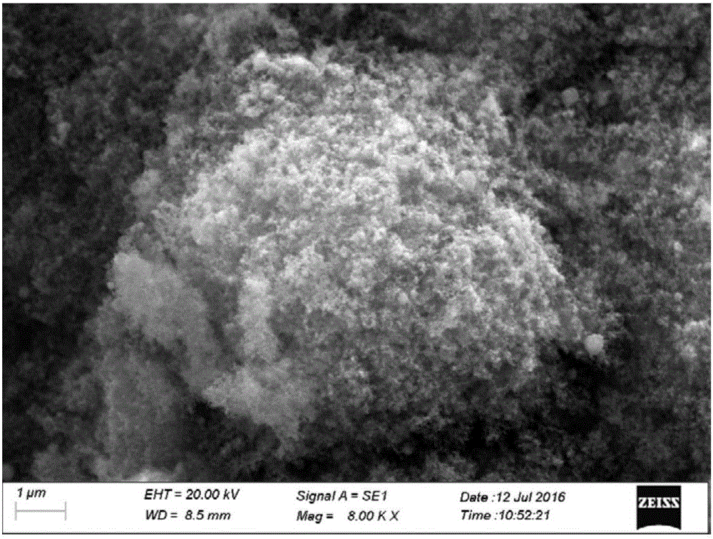 Manufacturing method of oil-water separation metal mesh having super-hydrophilicity/underwater super-lipophobicity